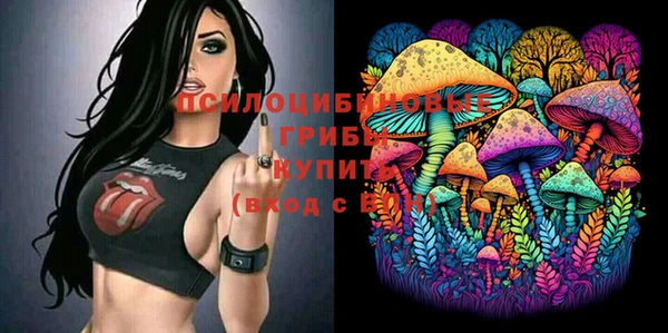 МДМА Алексеевка