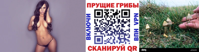 Галлюциногенные грибы мухоморы  кракен маркетплейс  Тавда 